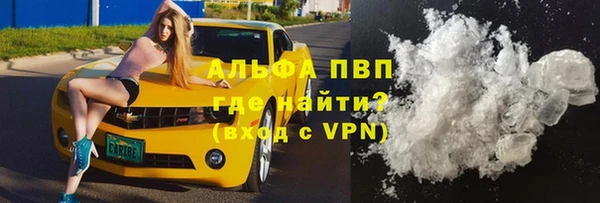 мяу мяу мука Баксан