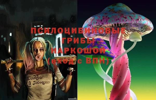 ECSTASY Сосновый Бор