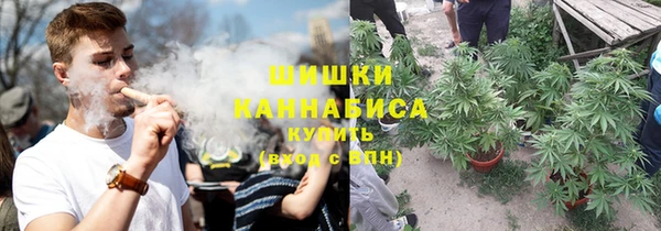 мяу мяу мука Баксан
