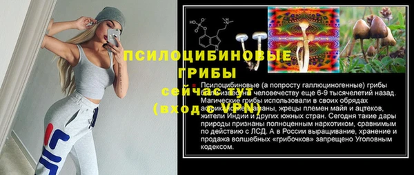 мяу мяу мука Баксан