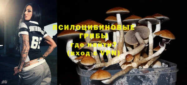 мяу мяу мука Баксан