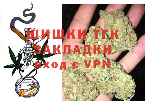прущие грибы Балахна