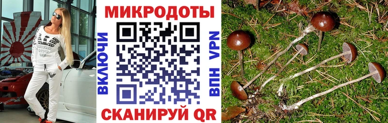 Галлюциногенные грибы Magic Shrooms Оленегорск